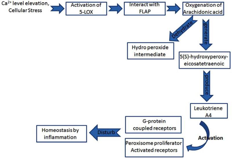 Fig. (1)