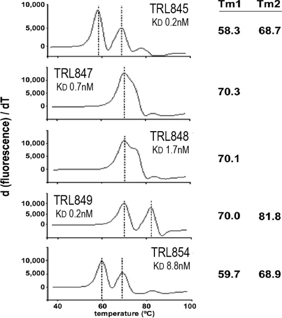 FIG 1