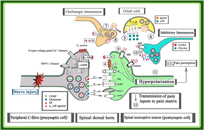 Figure 2