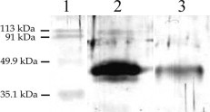 Supplementary Fig. 4