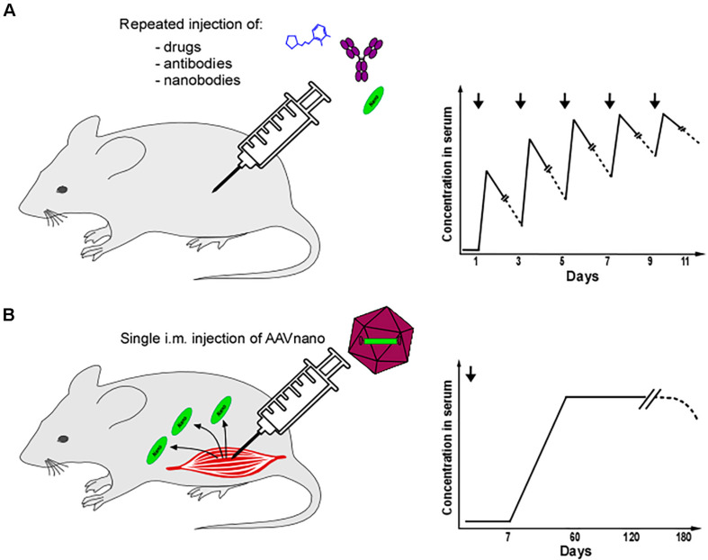 FIGURE 1