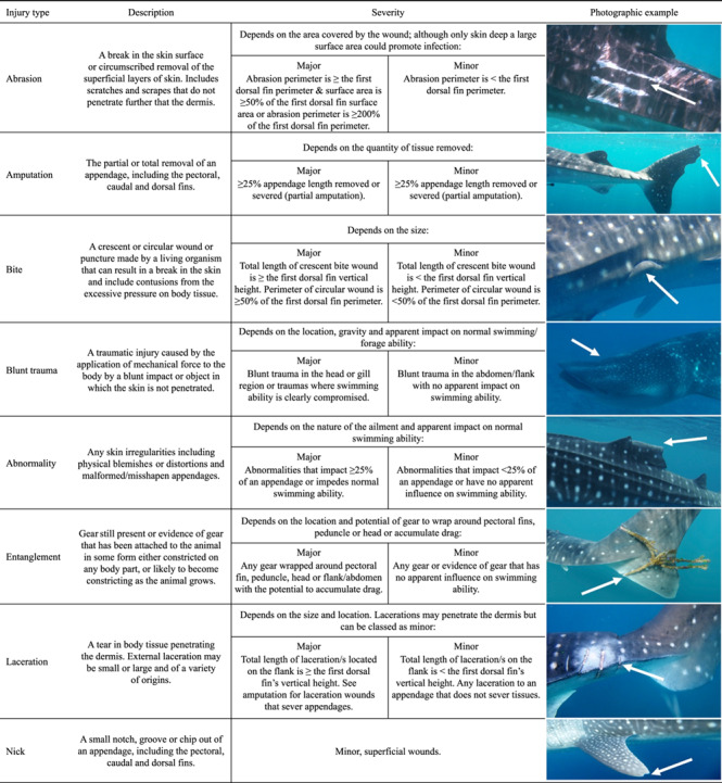 graphic file with name coaa120t1.jpg