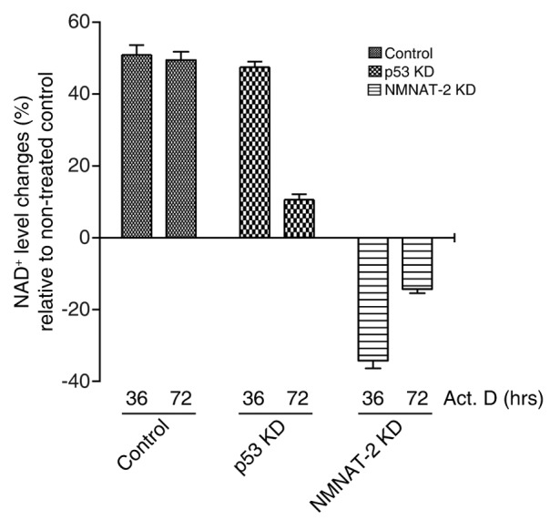 The NAD+ synthesizing enzyme nicotinamide mononucleotide ...