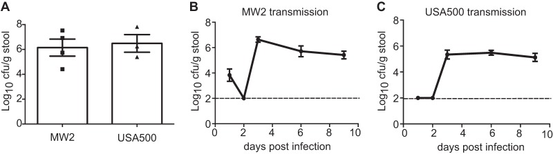 FIG 3