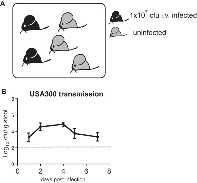 FIG 2