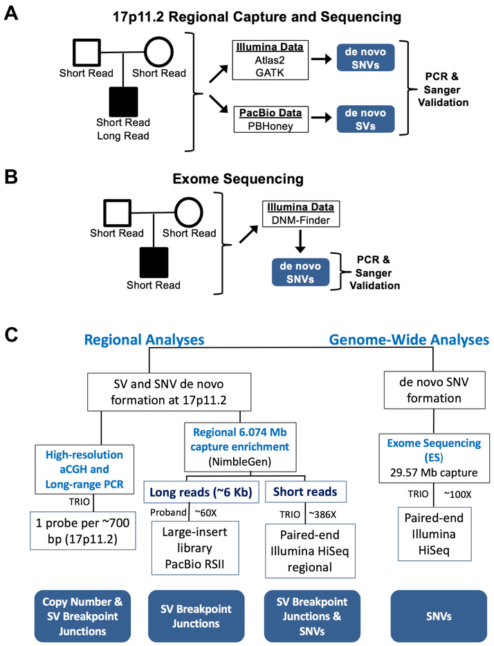 Figure 2-