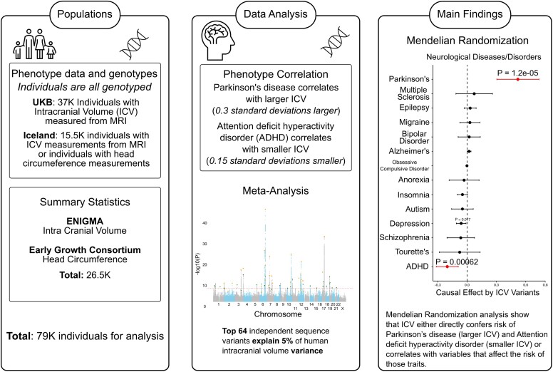 Graphical abstract