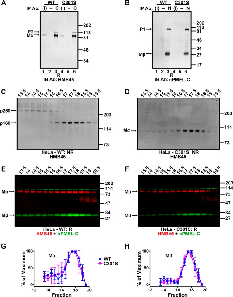 FIGURE 10.