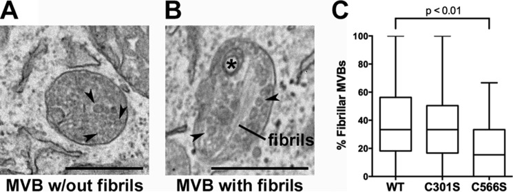 FIGURE 9.