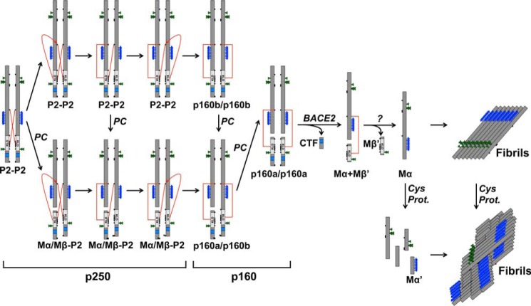 FIGURE 11.