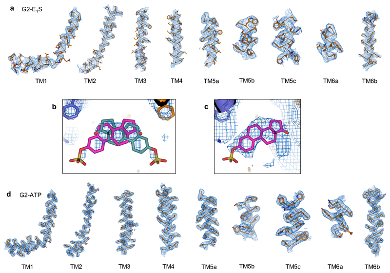 Extended data figure 4