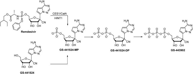 Fig. 1