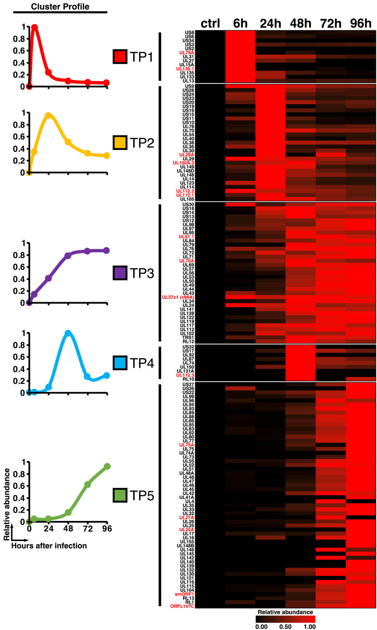 Fig 6