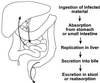 FIG. 1