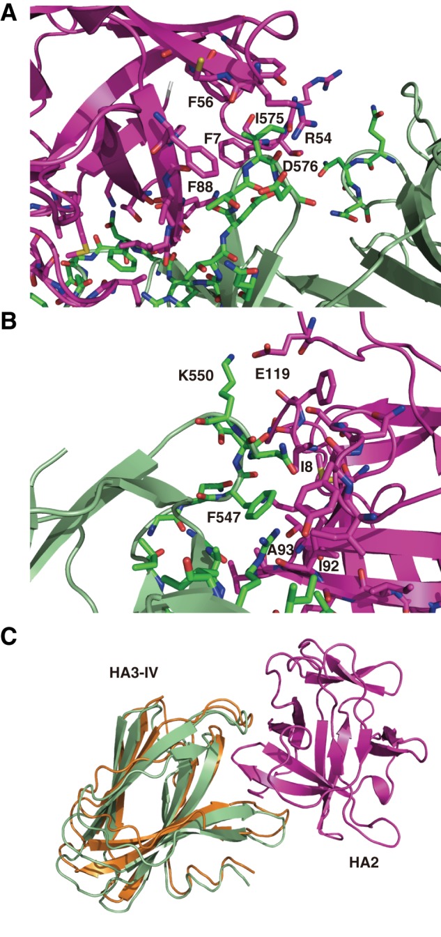 FIGURE 5.