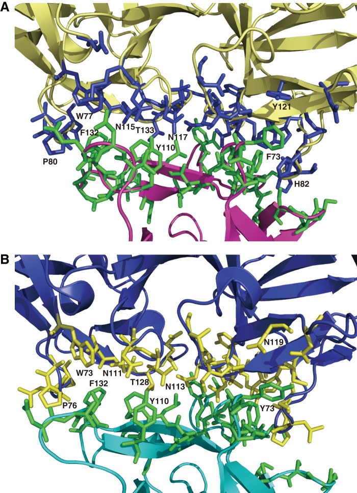 FIGURE 3.