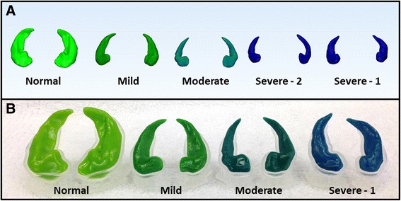 Fig. 7