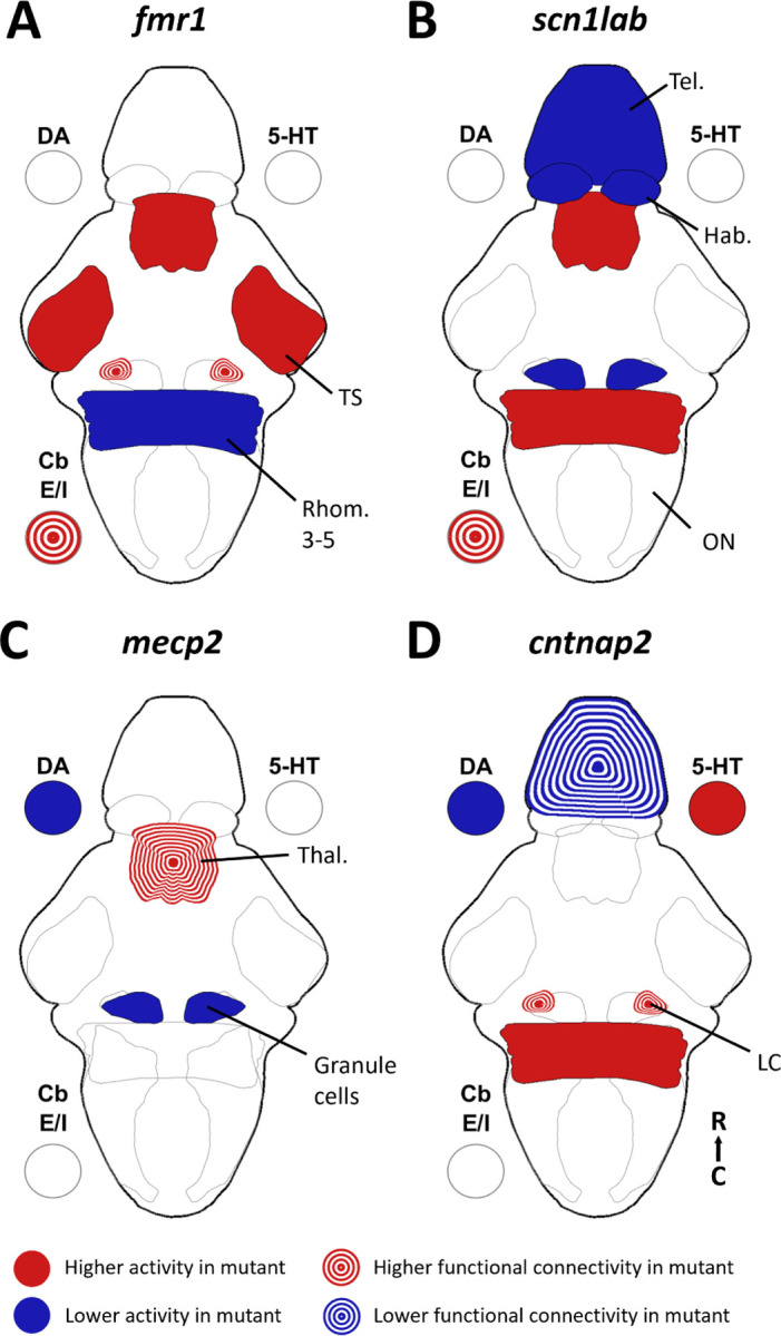 Figure 6: