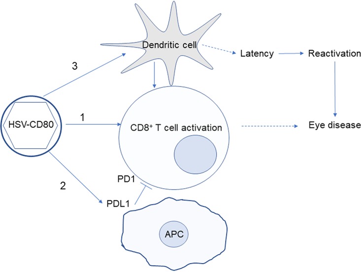 FIG 12