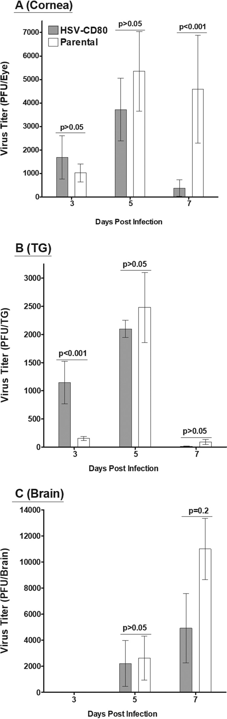 FIG 3