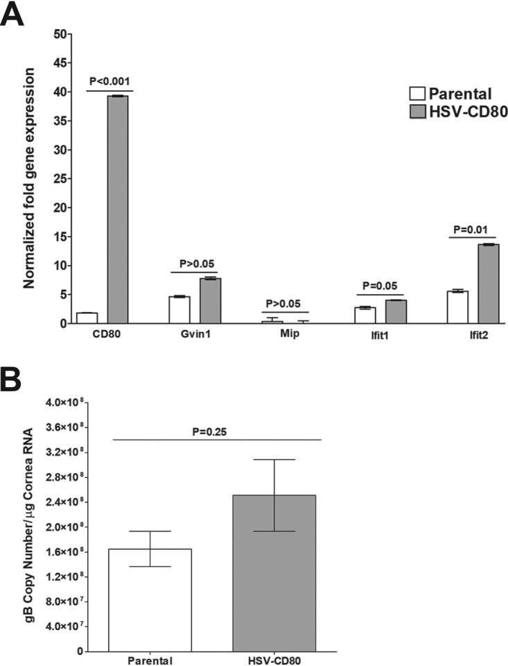 FIG 11