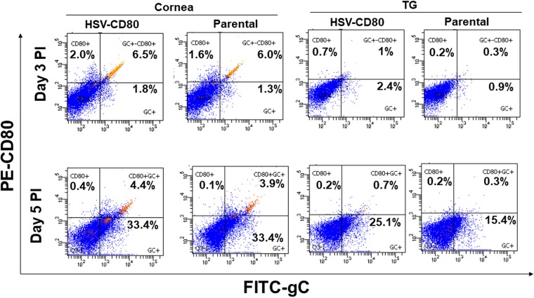 FIG 4