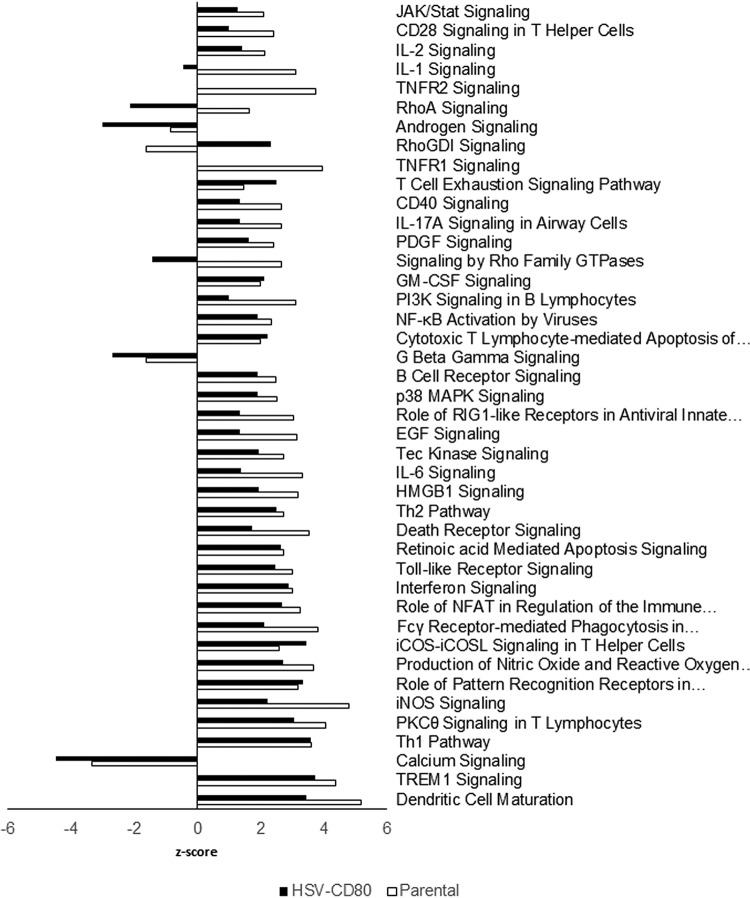 FIG 10