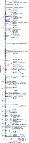 Fig. 2 |
