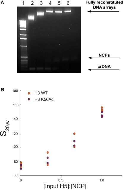 Figure 5