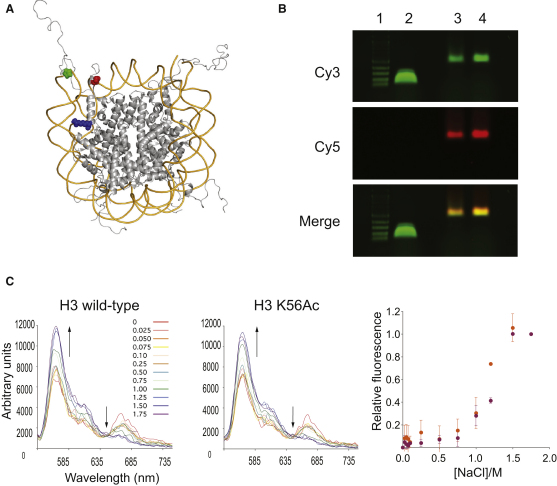 Figure 3