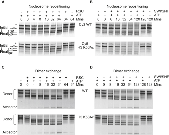 Figure 6