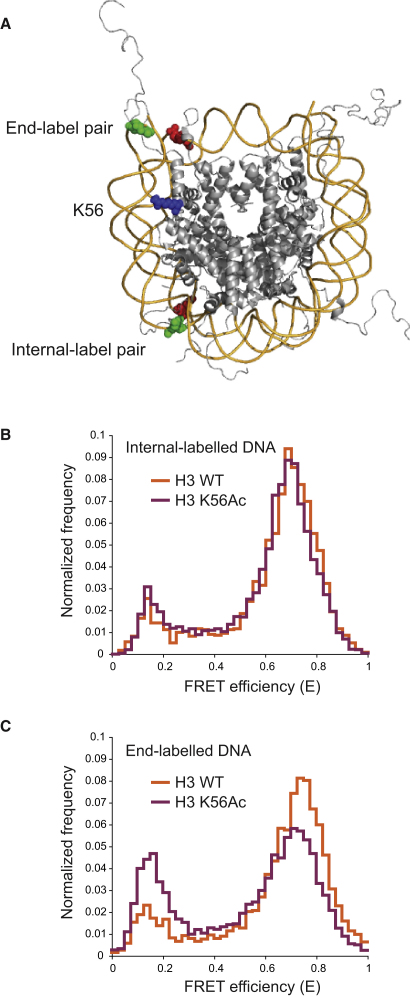 Figure 4