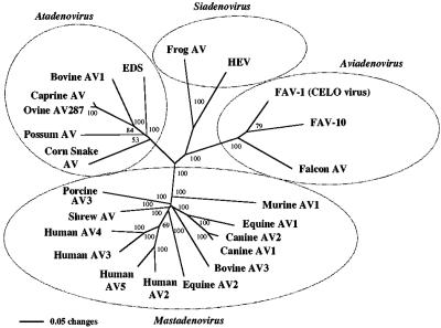 FIG. 5.