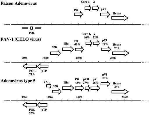 FIG. 3.