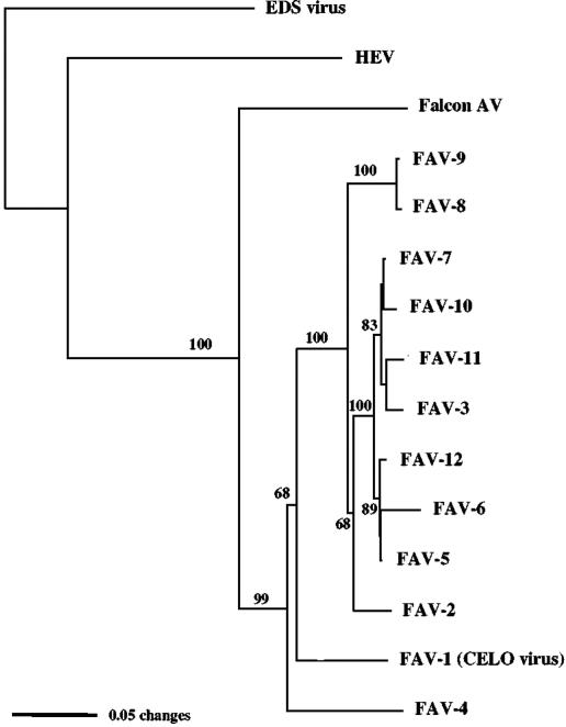 FIG. 6.