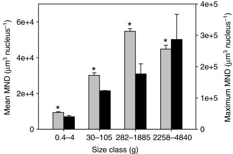 Fig. 8.