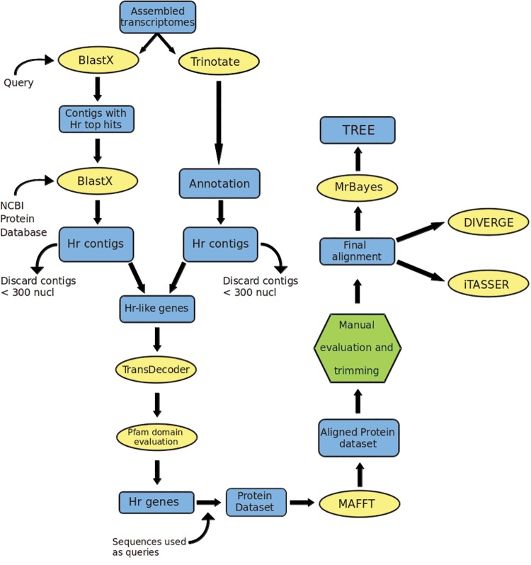 Fig. 1.—