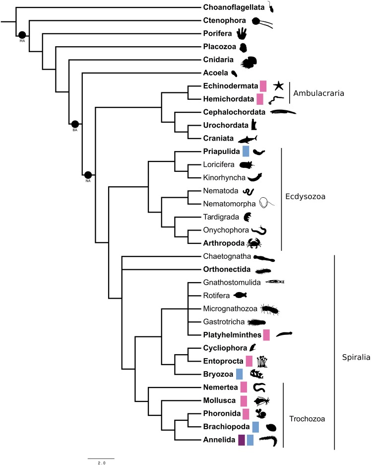 Fig. 4.—