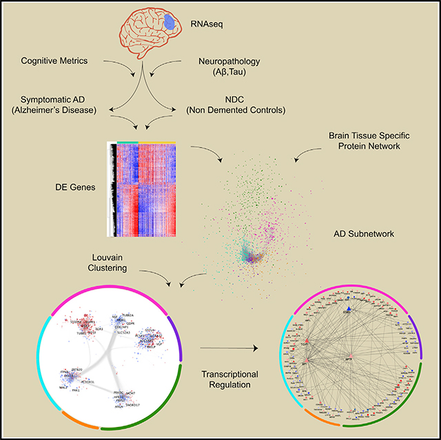 graphic file with name nihms-1585244-f0007.jpg