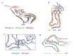 Extended Data Figure 6