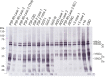 Extended Data Figure 8