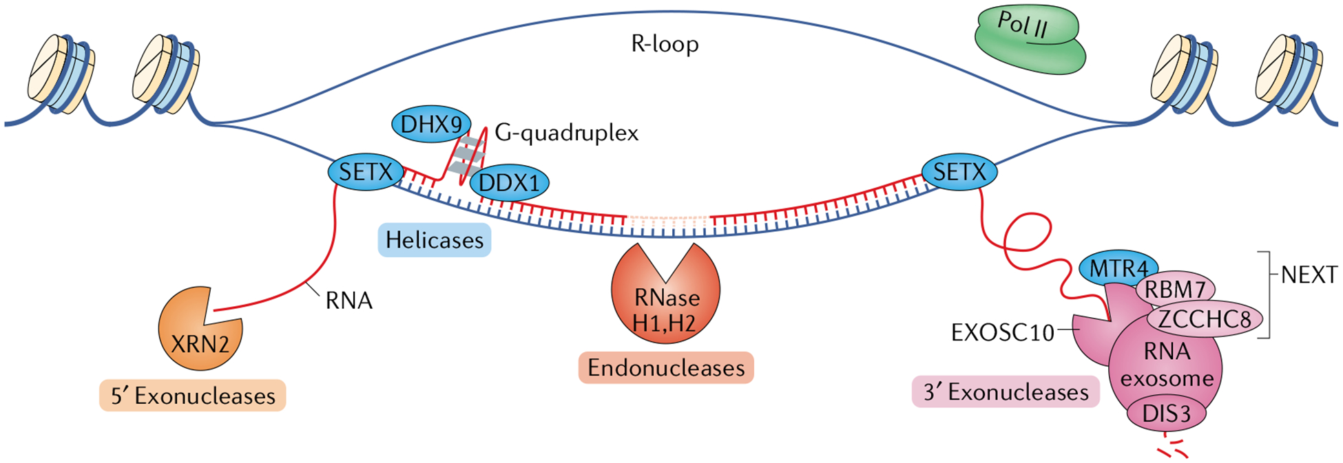 Fig. 1 |