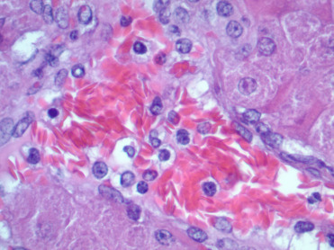 Figure 7.1
