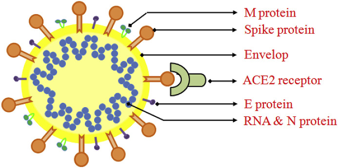 Fig. 1