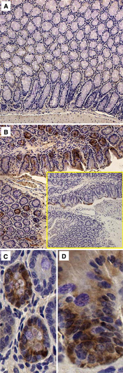 Fig. 4a–d