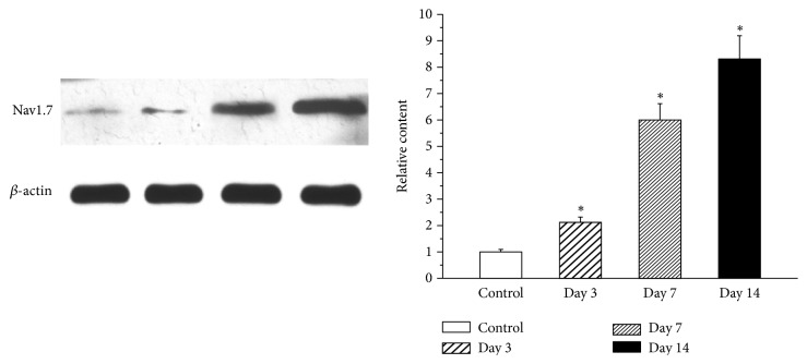 Figure 5