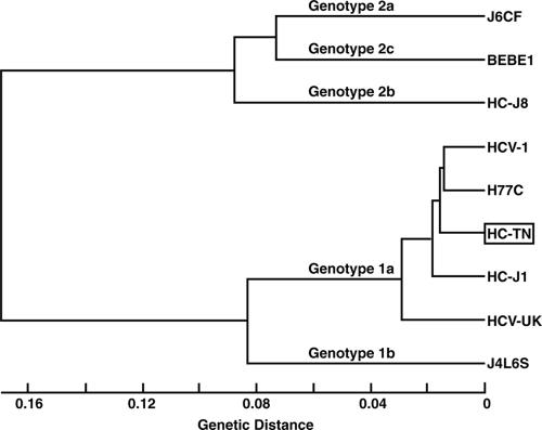 FIG. 2.