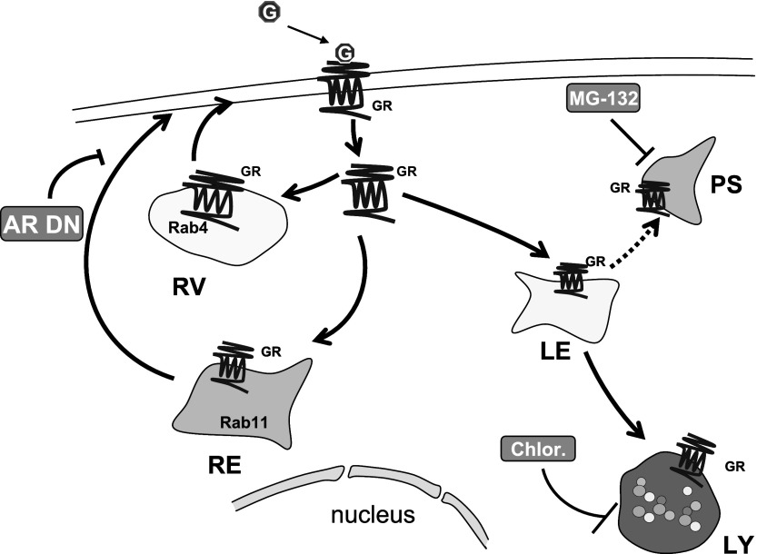 Fig. 7.