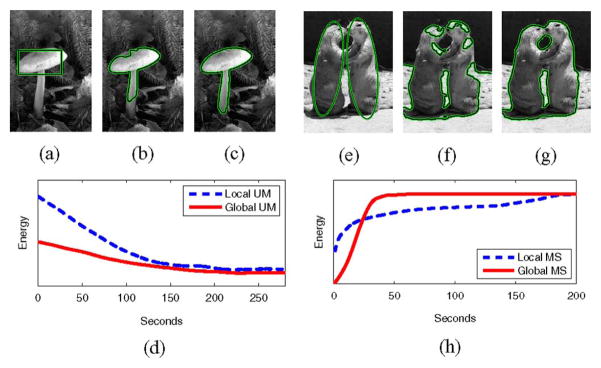 Fig. 14