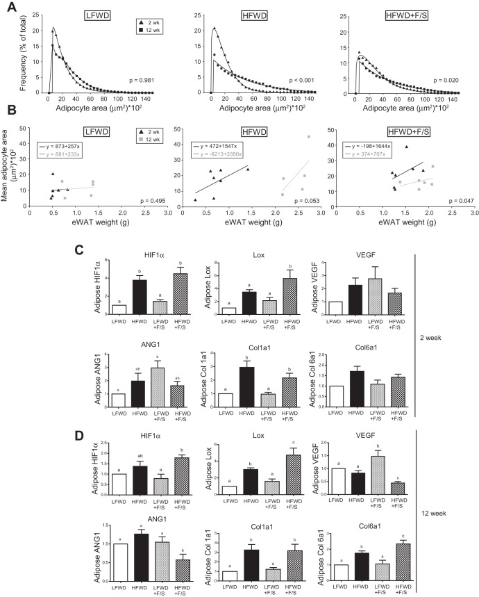 Fig. 12.